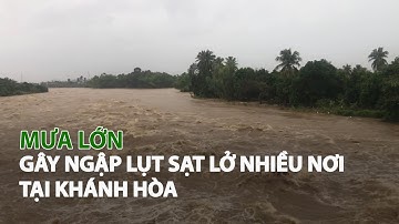 Mưa lớn gây ngập lụt sạt lở nhiều nơi tại Khánh Hòa| VTC14