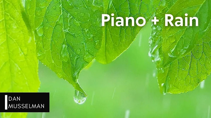 Healing Rain | Two Hours of Piano and Rain Sounds