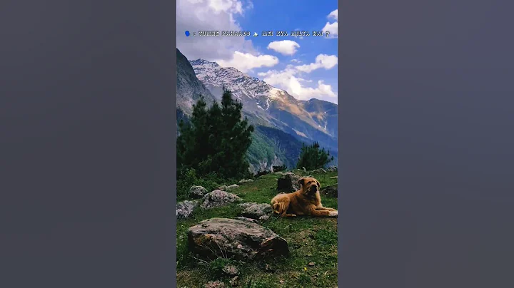 EXPLORING 🏔️ #travel #youtubeshorts #youtube #bollywood #viral #krishnatemple #timelapse #oneplus