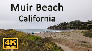 Muir Beach California | Must-Visit Coastal Gem Near San Francisco! | Panasonic S5IIX
