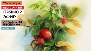 видео: Шиповник акварелью. Бесплатный урок Анастасии Бесединой картинка: Шиповник акварелью. Бесплатный урок Анастасии Бесединой