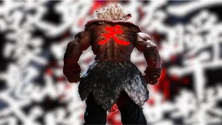 THE ULTIMATE AKUMA COMBO VIDEO