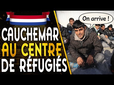 250 Syrian Students And Refugees Living In Shared Accommodation Things Go Wrong 