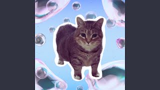 Do The Dance Oiia - Uiia Cat