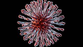 Virus Test Sans Post Prod