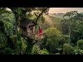 Living Alone in the Jungle — Watch Her Build a Dream Treehouse Mp3 Song