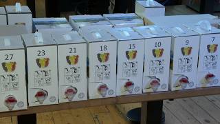 Topul Vinurilor Bag-In-Box Din România