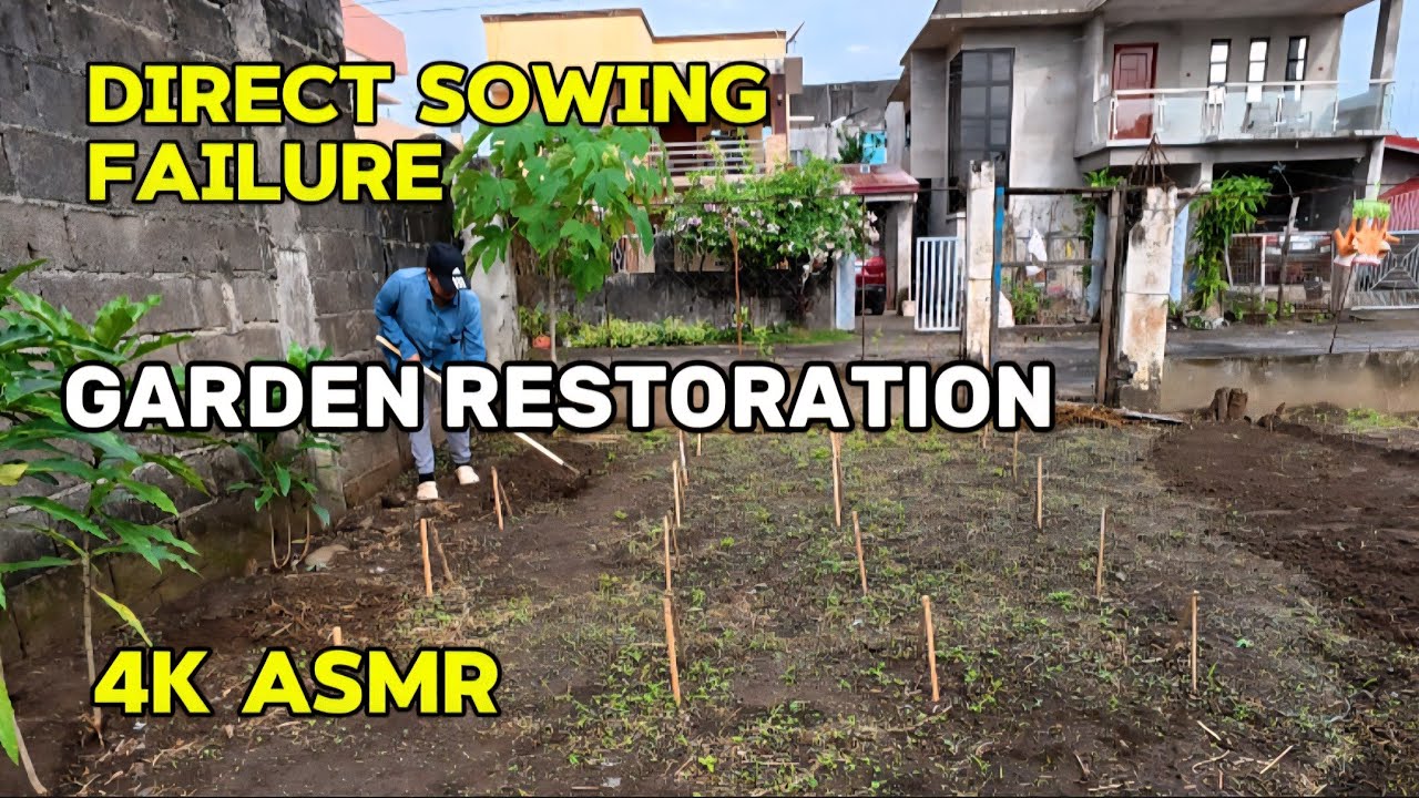 Direct Sowing Failure: A Quiet Garden Restoration | 4K ASMR