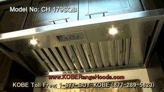 ch179sqb.avi