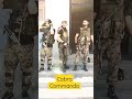 Status video 🔥 | Cobra Commando