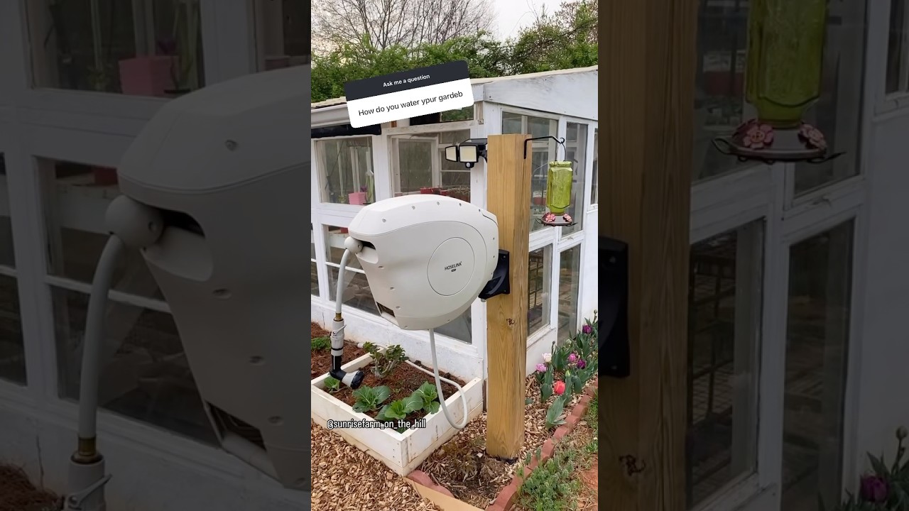 Collecting rain water to water our garden and greenhouse 