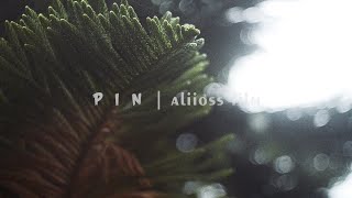 PIN 4K [FREE] | NATURE CINEMATIC FILM | B-ROLL VIDEO | ALIIOSS FILM