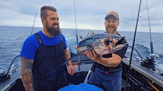 We Found Them! 60 Miles Out of Newport Oregon for Albacore Tuna