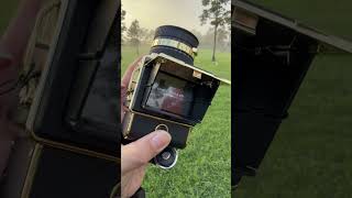 a quick 'vintage' toy camera test - would you buy?? #toycamera #photographylovers