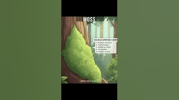 Moss On Bark: Tiny Forest Engineers | Bryophytes  #letslearntogrow #garden #roomtogrow