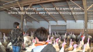 2013 National Thanksgiving Turkey Flock & the Burkel Familiy screenshot 5