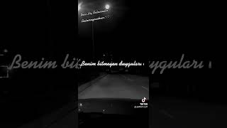 Beni Hiç Anlamadın Anlamayacaksın Bedirhan Gökçe Şiir