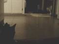 Sigur Ros - Hafsol
