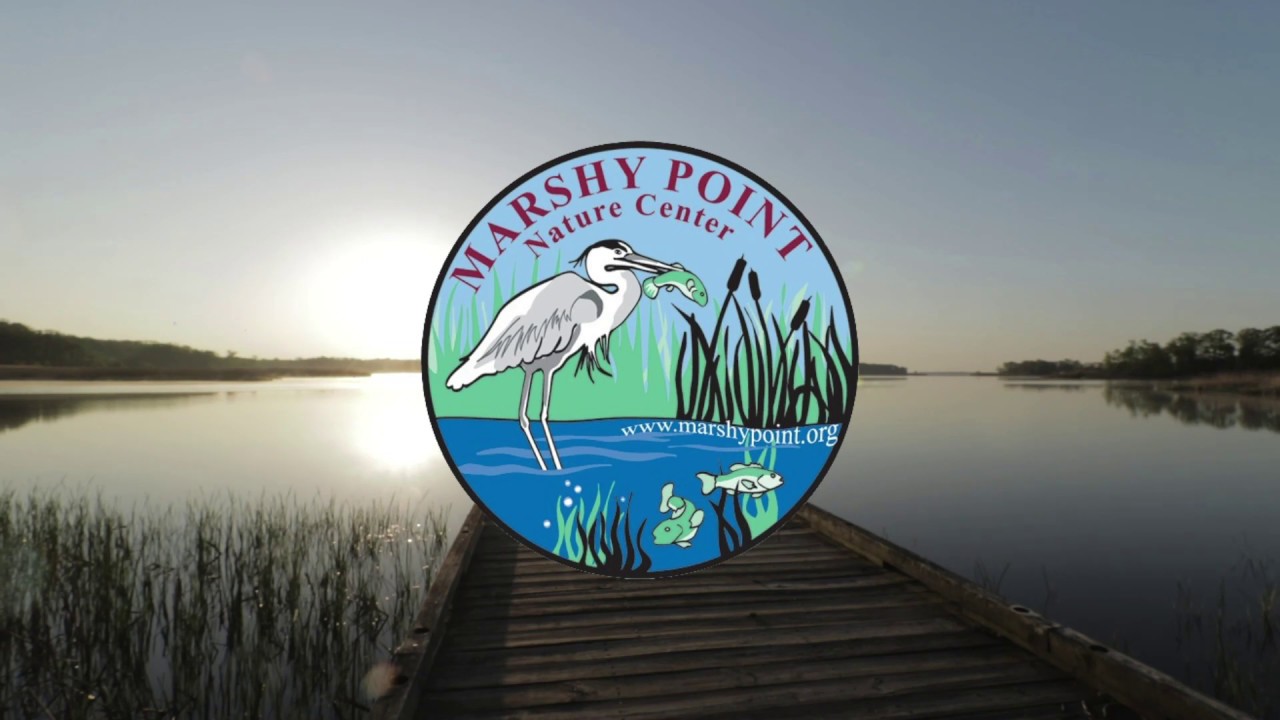 A Bird's Eye View of Marshy Point