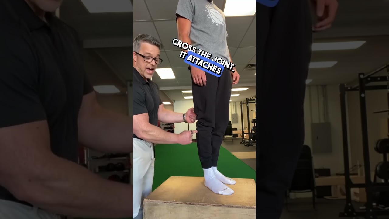 Are you using thought processes and treatment strategies?