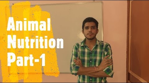 Digestion And Absorption |Target #mducee2023 | lecture-55 #mducee2022 #mducee  #mdu