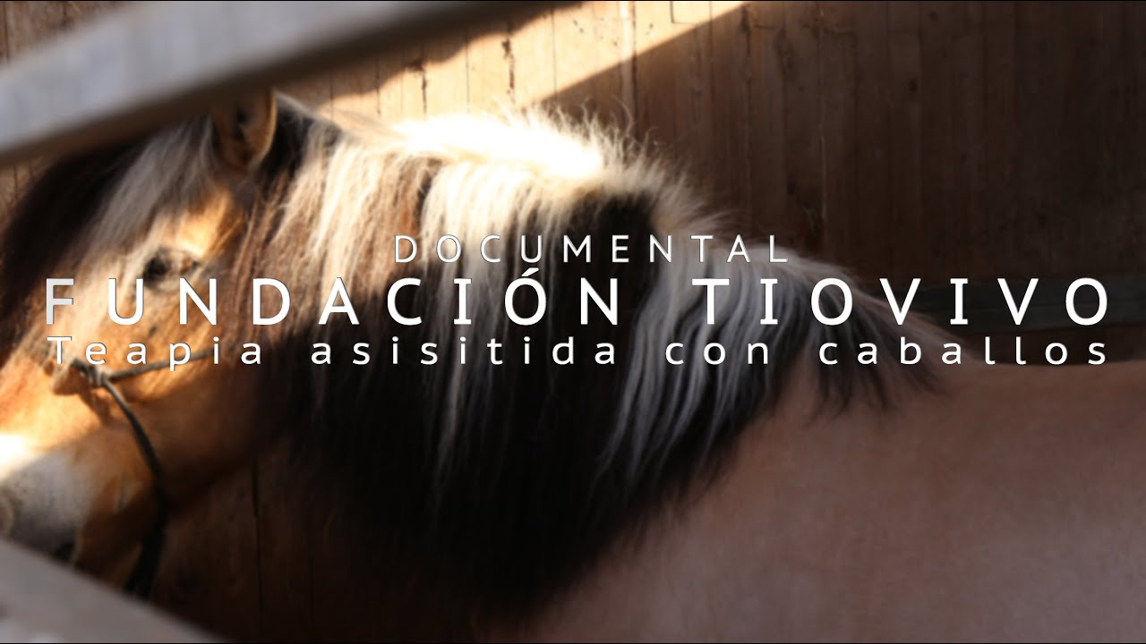 TEASER DOCUMENTAL TIOVIVO (Terapia asistida con caballos) YouTube TEASER DOCUMENTAL TIOVIVO (Terapia asistida con caballos) YouTube