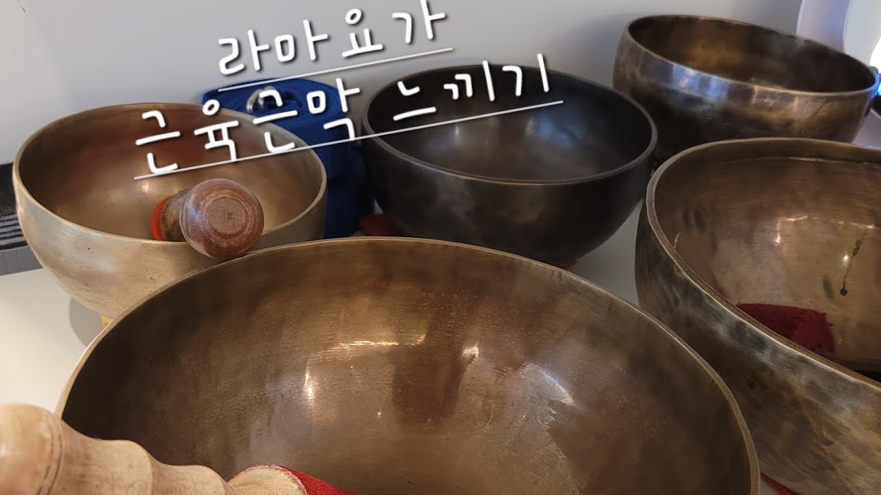 77요가-26.2.25수 / 근육근막까지 느껴보기-#라마요가