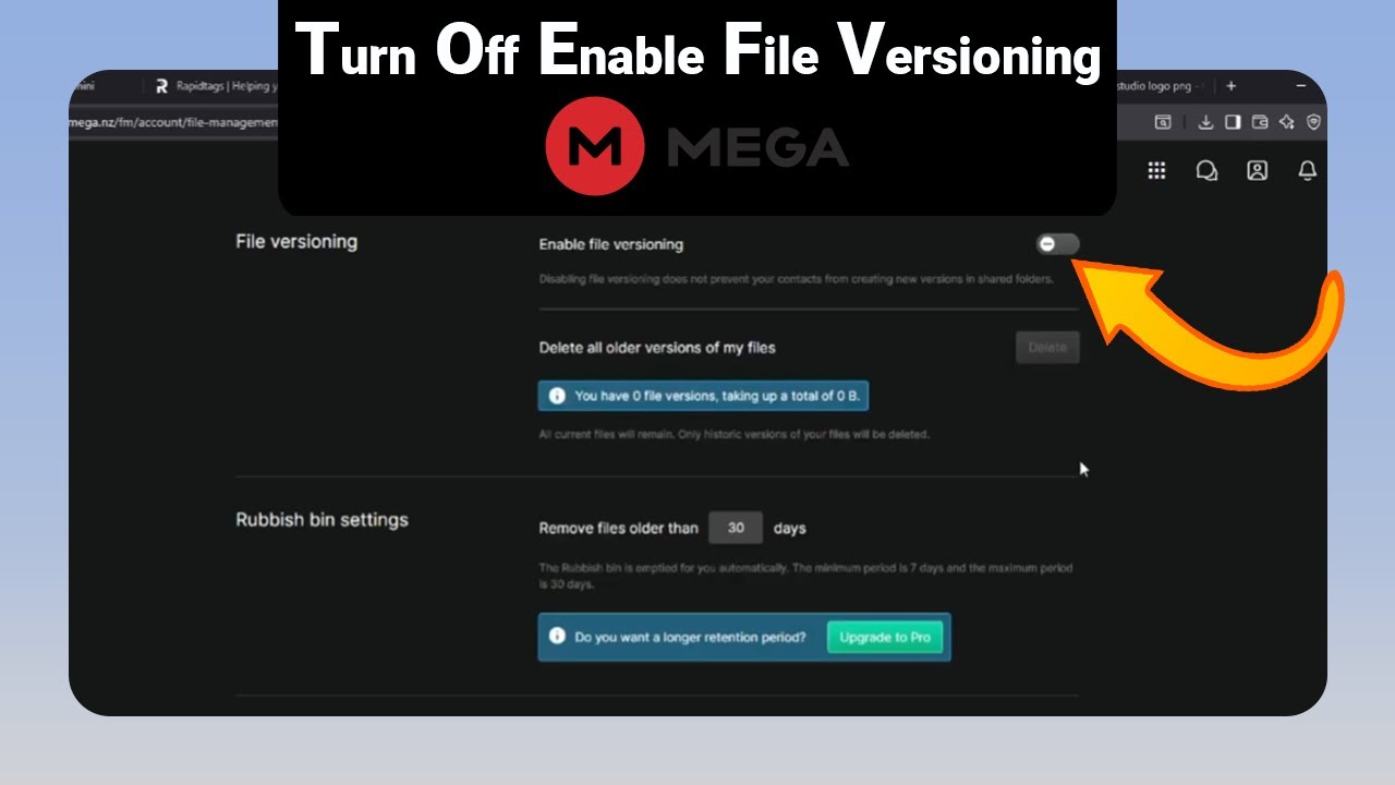 How to Turn Off Enable File Versioning on Mega [NEW] - YouTube