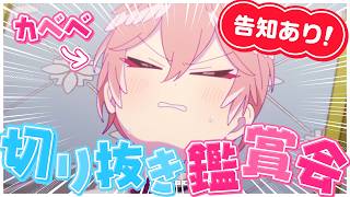 【 告知あり！ 】フワモコとルイが絡んでる切り抜きを一緒にみよう‼【鷹嶺ルイ/ホロライブ】