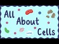 Animal Cells Quiz