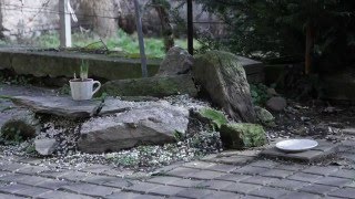Rostlinki - Hrnečki