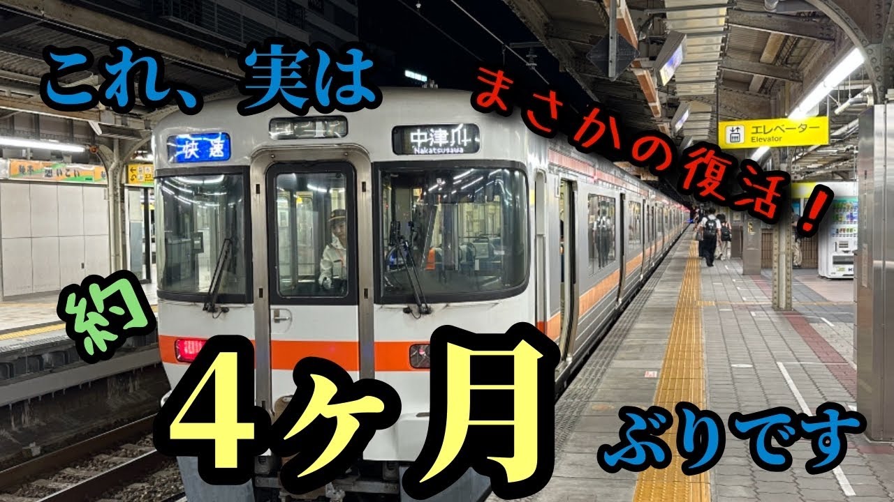 4ヶ月ぶり】中央線名古屋口に313系が復活しました - YouTube