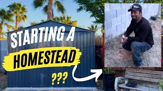 VLOG #30 Are We Starting a Homestead! #vlog #homestead #lifestyle