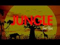 The Best Tech House 2026 | Jungle by Tomer Falcon