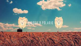 Aurora B.Polaris -