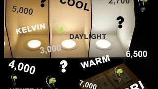 Choosing the correct LED Bulb or Fixture for your Application screenshot 5