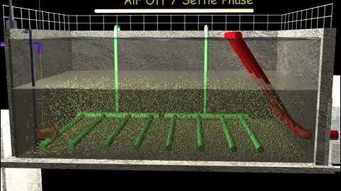 Working of SBR in animation