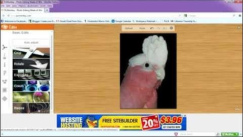 PicMonkey Editing Video Tutorial