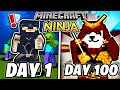 I survived 100 days as a ninja in hardcore minecraft