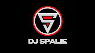 Weekend Edition 55 Mixed By DJ Spalie ( Amapiano )