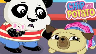 Chip and Potato | El primer día de Nico // chip deportivo | Dibujos animados para niños