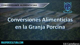 Conversión Alimenticia En La Granja Porcina
