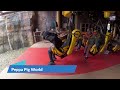 Beginning of video