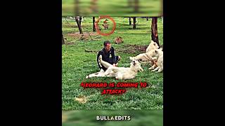 Rewatch at 0.3x 💀