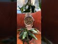 Can this Palm Dial Datejust fit into a man’s watch collection? At 36mm it fits my 6 3/4” wrist perfe