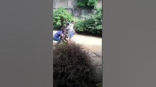 Nyangono du sud et ténor MULEMA