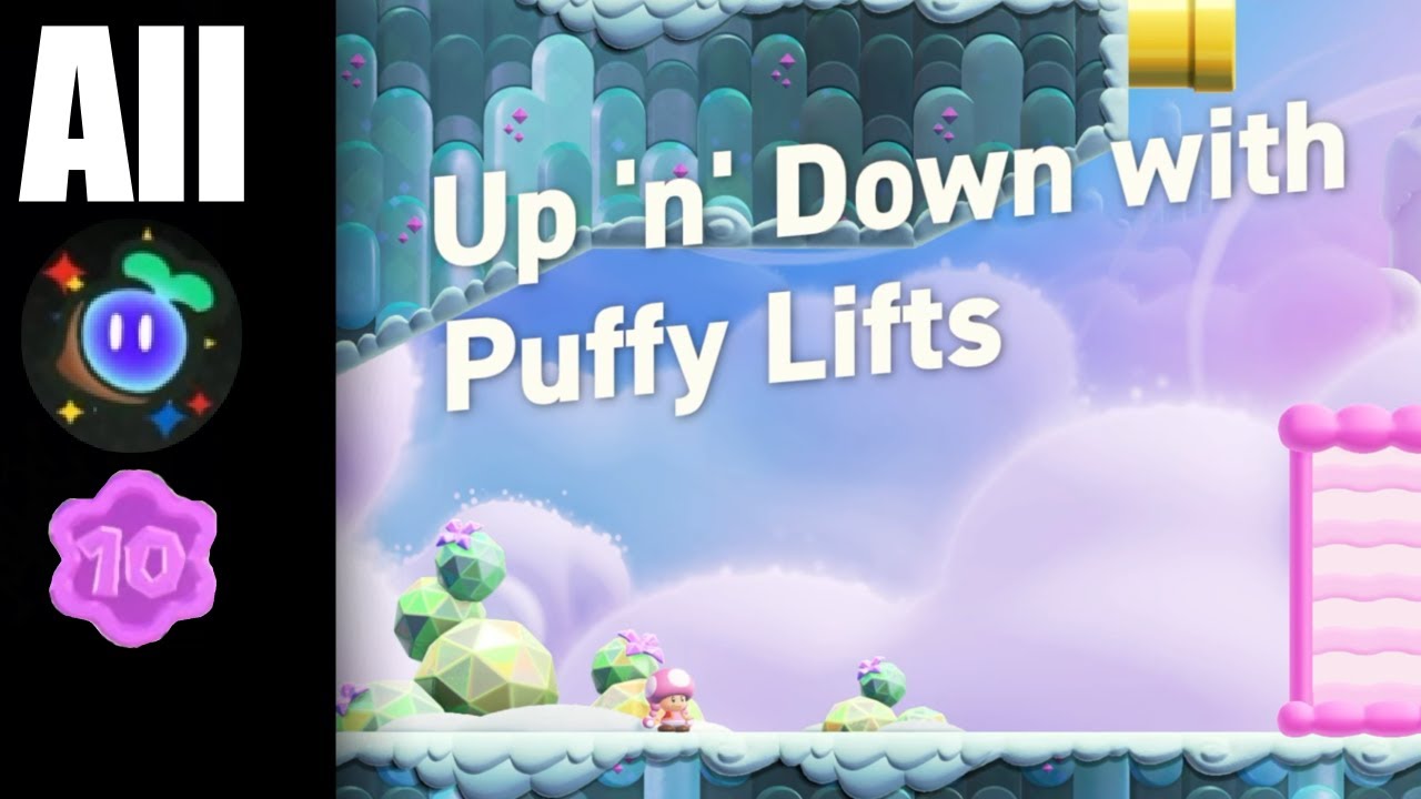 up-n-down-with-puffy-lifts-all-flower-coins-and-wonder-seeds