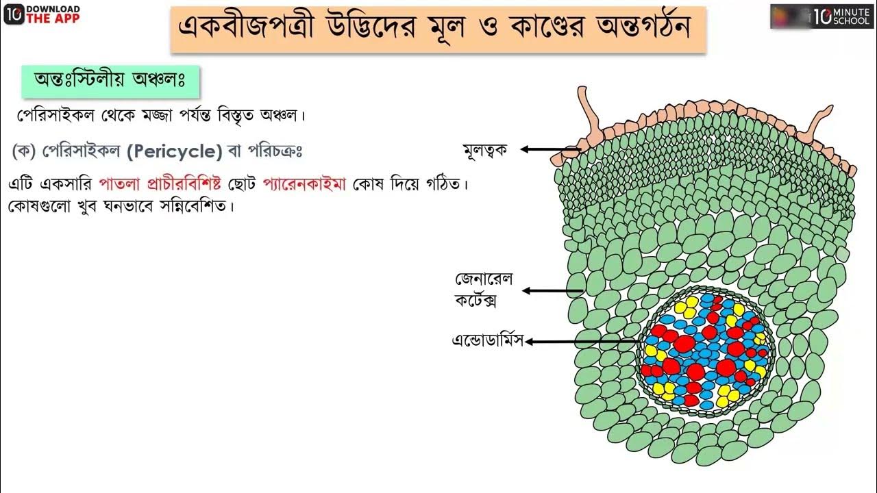 Mikroavtobusda jinsiy aloqa uyushtirilgan