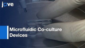 Microfluidic Co-culture Devices to Analyse Tooth Germ Innervation | Protocol Preview