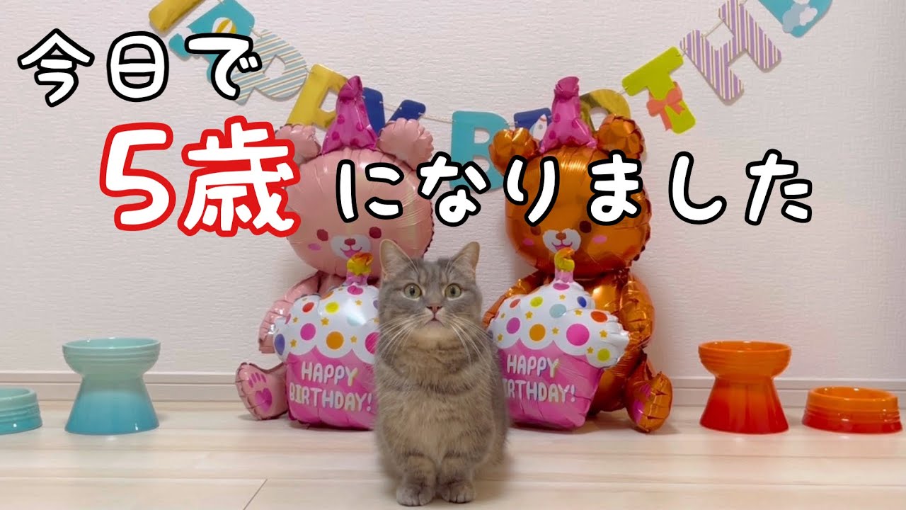 アクアとフランマ | ＃OSHINEKO